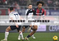 欧洲杯葡萄牙：2024欧洲杯葡萄牙