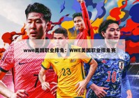 wwe美国职业摔角：WWE美国职业摔角赛