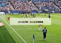 2011总决赛：2011总决赛数据