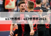 u17世界杯：u17世界杯2023