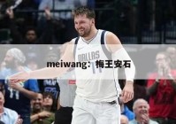 meiwang：梅王安石