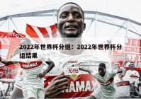 2022年世界杯分组：2022年世界杯分组结果